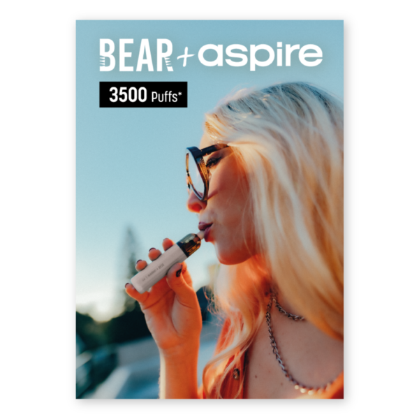 A3 Poster BEAR+aspire R1